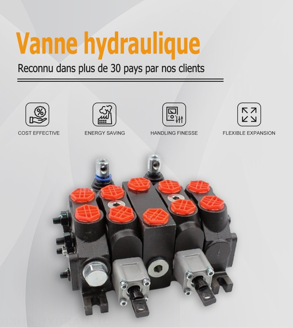 DCV60-Double control Manuel 2 distributeurs Distributeur directionnel sectionnel